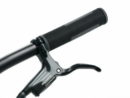 Darwin IV 24-Inch Kids Bike