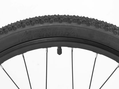 Darwin IV 24-Inch Kids Bike