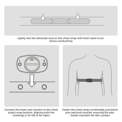 ROCKBROS heart rate monitor chest strap bluetooth ant+