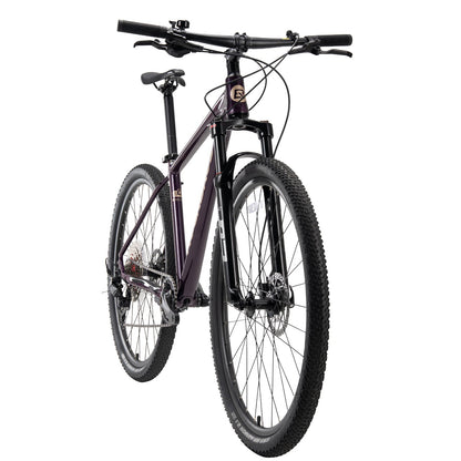 MT400 29 Inch Mountain Bike with 1×10 Gears ROCKBROS#Color_Purple
