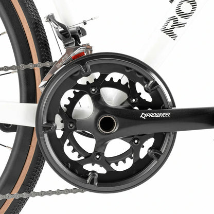 SPIN P2M Flat Bar Road Bike with Carbon Fork 2x10 Speed